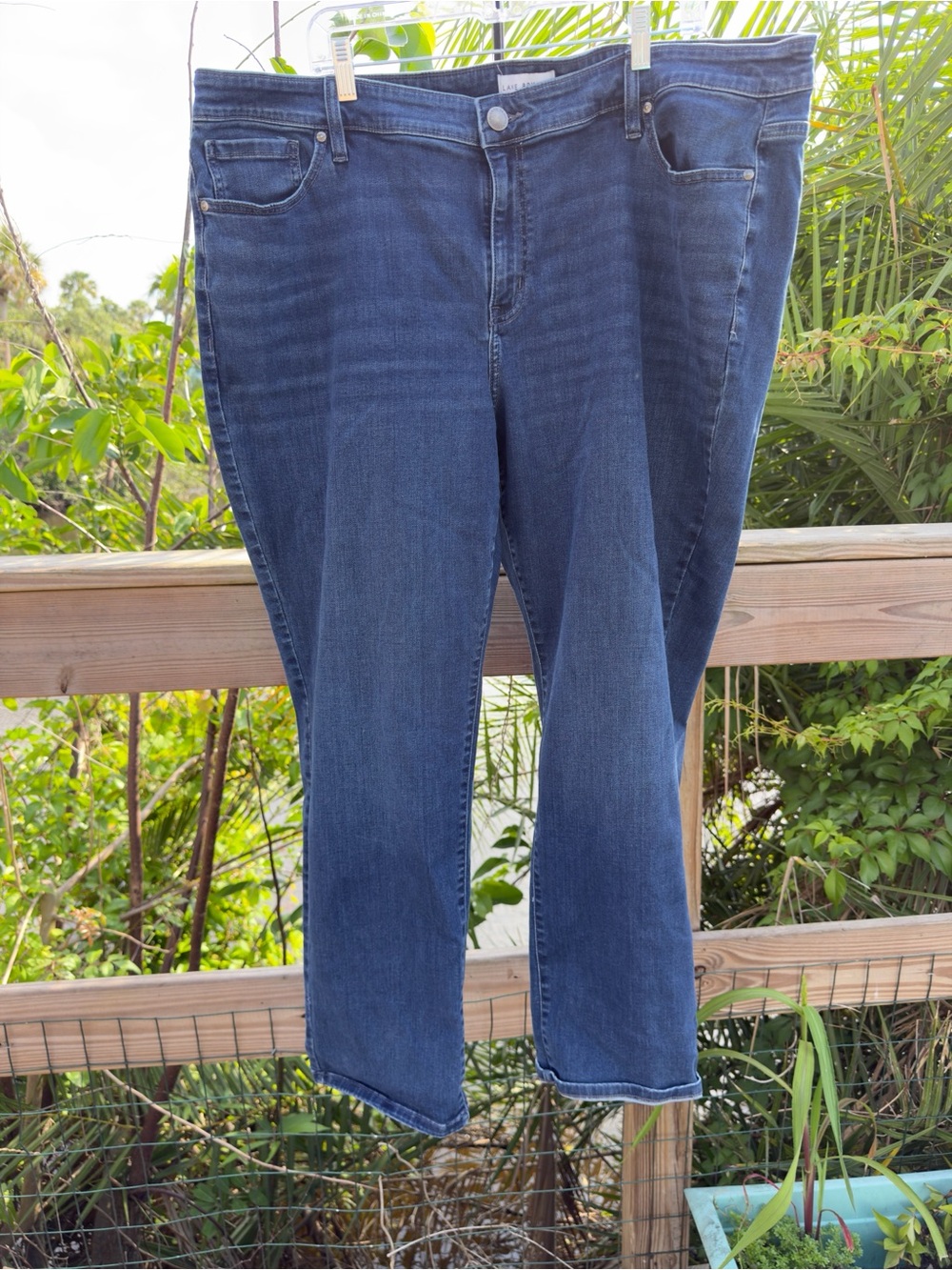 Lane Bryant Straight Leg Jeans in Dark Blue Wash